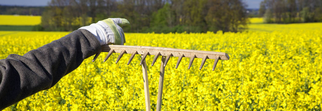 Biokraftstoffe in der Land- und Forstwirtschaft...