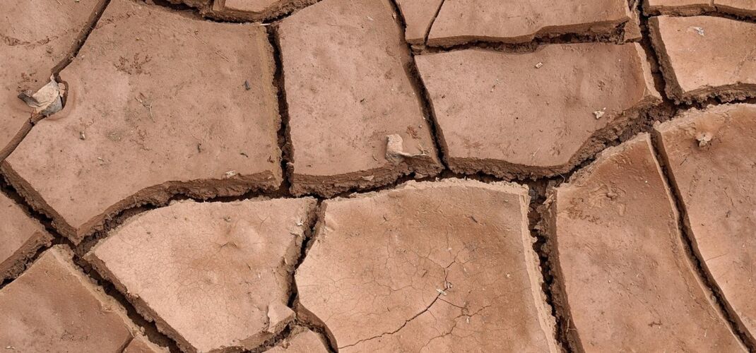 stark ausgetrockneter Boden, Boden zeigt Risse