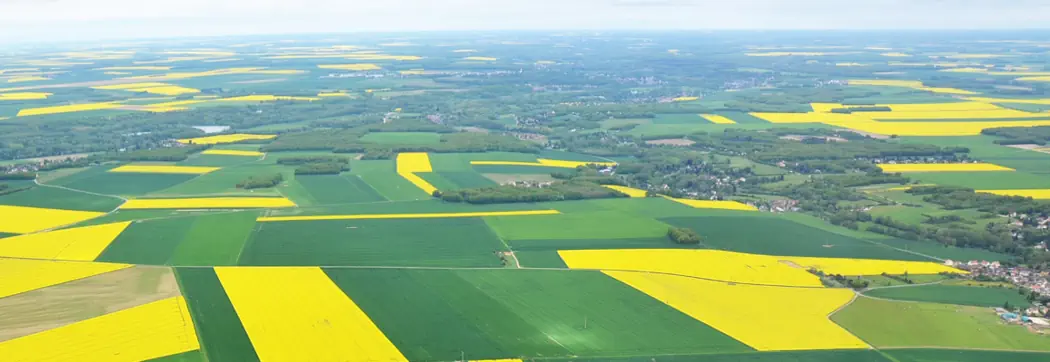 Erneuerbare Antriebsenergien in der Land- und Forstwirtschaft...