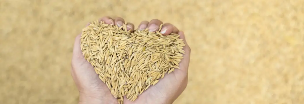 Erneuerbare Antriebsenergien in der Land- und Forstwirtschaft...