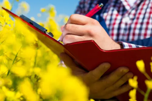 Shutterstock / Zorandim