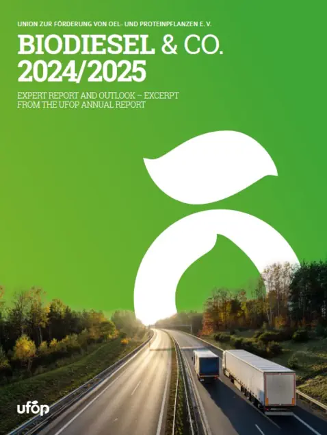 UFOP Biodiesel & Co.jpg