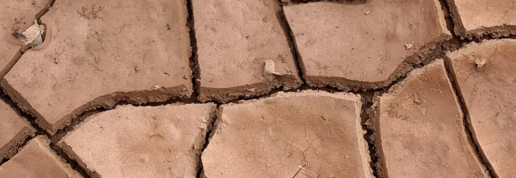 Erneuerbare Antriebsenergien in der Land- und Forstwirtschaft...