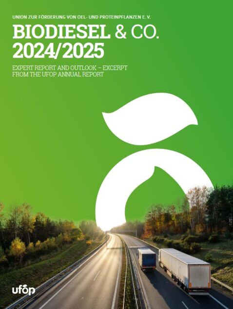 UFOP Biodiesel & Co.jpg