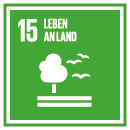 bpf_zuarbeit_170420___15.jpg