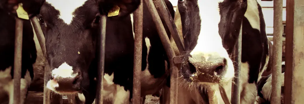 Erneuerbare Antriebsenergien in der Land- und Forstwirtschaft...