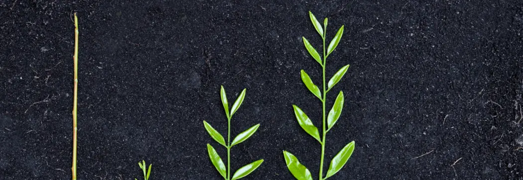 Erneuerbare Antriebsenergien in der Land- und Forstwirtschaft...